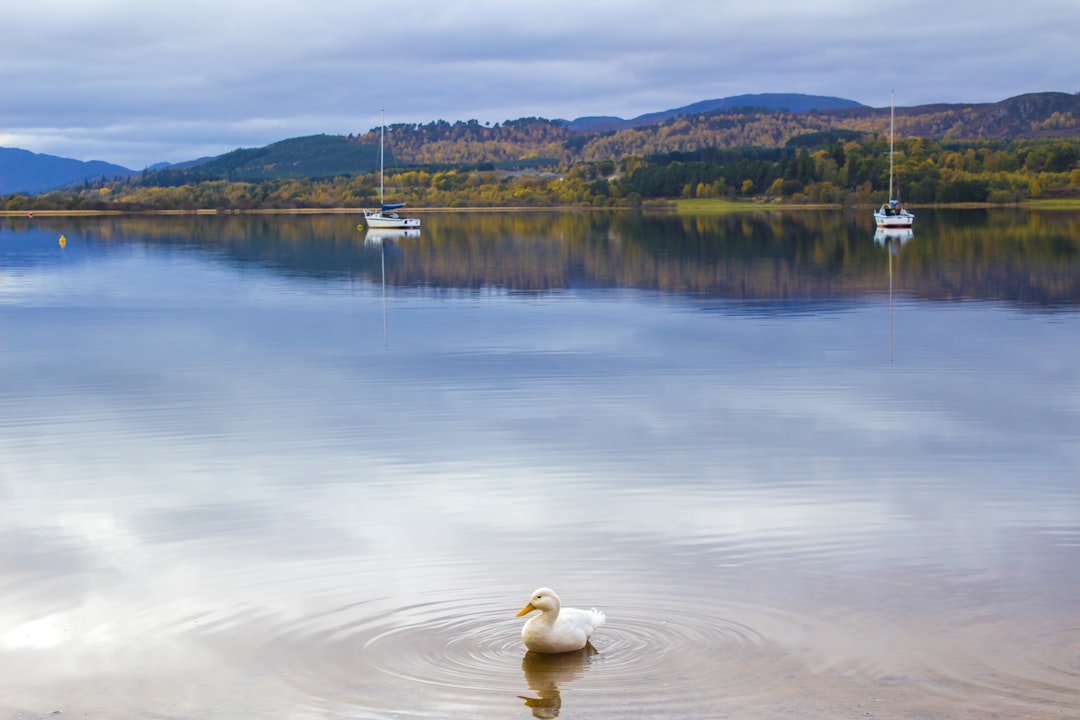 Cairngorms Nature Escape Loch Morlich