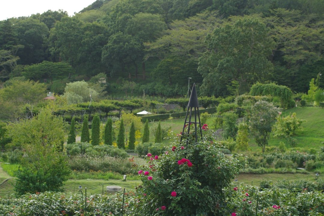 Secluded Island Escape Achamore Garden